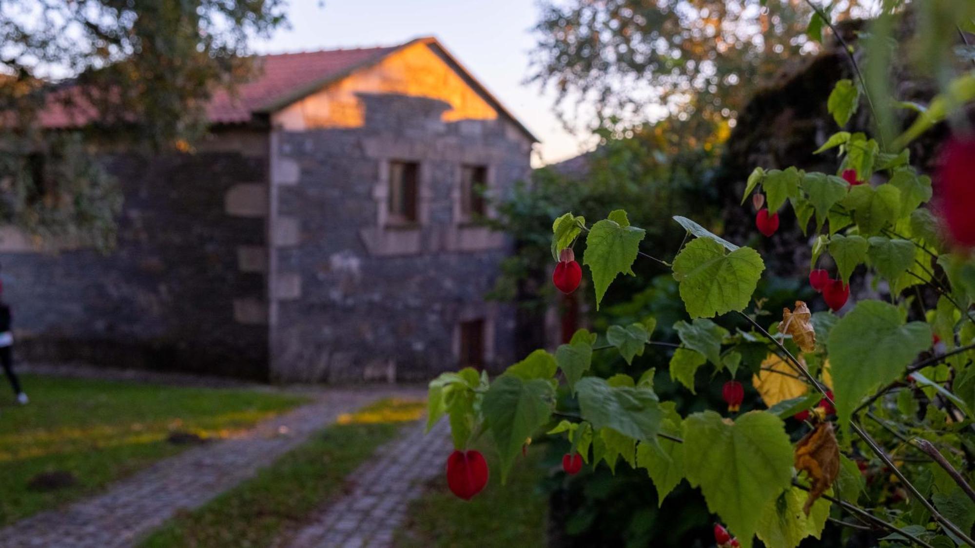 Branda de Santo António Casa Dos Do Carvalho - Miradouro Da Brandaヴィラ エクステリア 写真